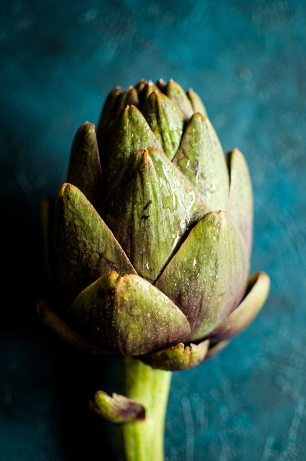 All about the Artichoke